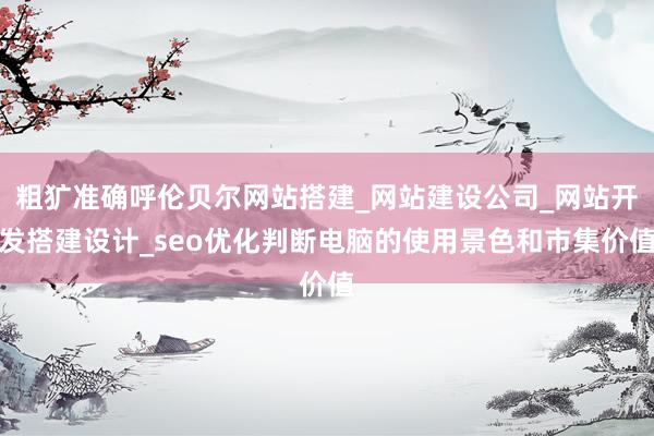 粗犷准确呼伦贝尔网站搭建_网站建设公司_网站开发搭建设计_seo优化判断电脑的使用景色和市集价值